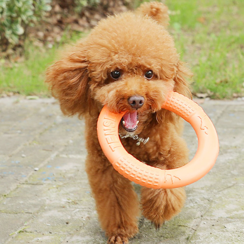 1pc Orange Dog Toys Pet Flying - Flying Disc Dog Training Toy recension och pris