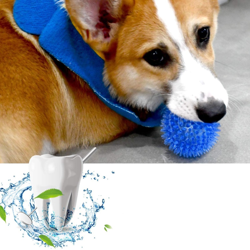 Pet Toy Ball for Cats And Dogs - Indestructible Dog Chew Toy recension och pris