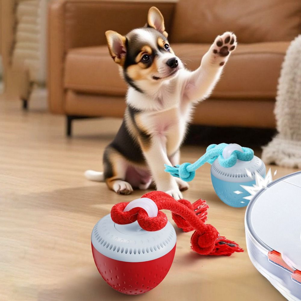 Bite Resistant Smart Pet Toy B - Automatic Moving Dog Ball recension och pris