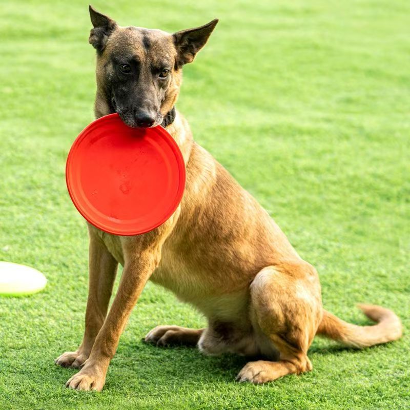 Hard Plastic Dog Frisbee  Paw  - Flying Disc Dog Training Toy recension och pris