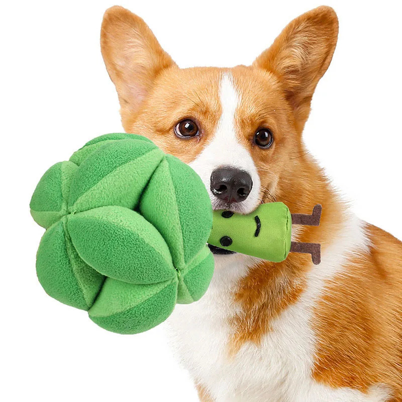 Snuffle Broccoli Dog Puzzle To - Dog Puzzle Feeder Toy recension och pris