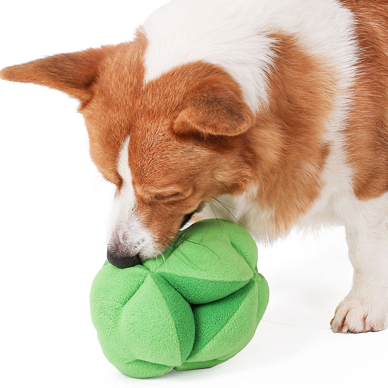 Snuffle Broccoli Dog Puzzle To - Dog Puzzle Feeder Toy recension och pris