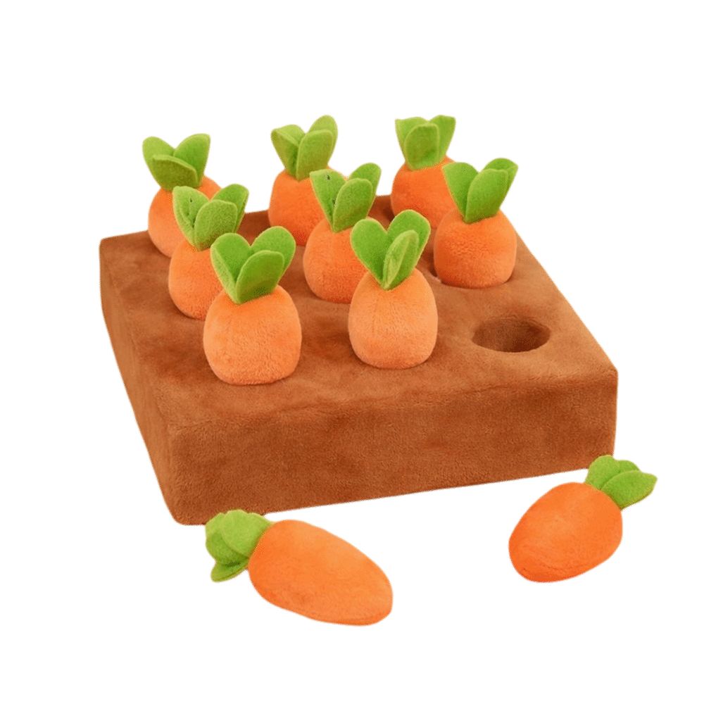 Stress Relief Carrot Snuffle M - Snuffle Mat For Dogs recension och pris