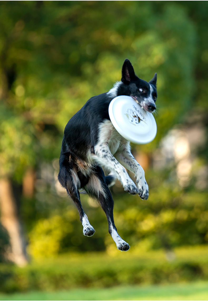 OUZEY Bite Resistant Pet Train - Flying Disc Dog Training Toy recension och pris