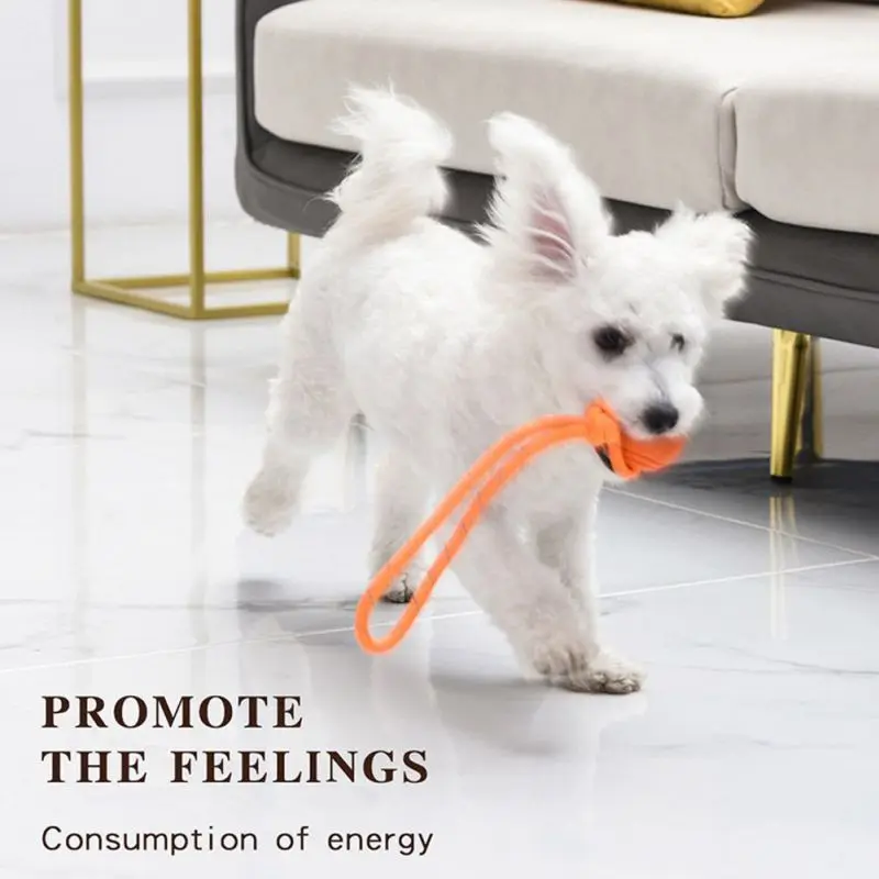 Dog Training Ball on Rope Cott - Indestructible Dog Chew Toy recension och pris