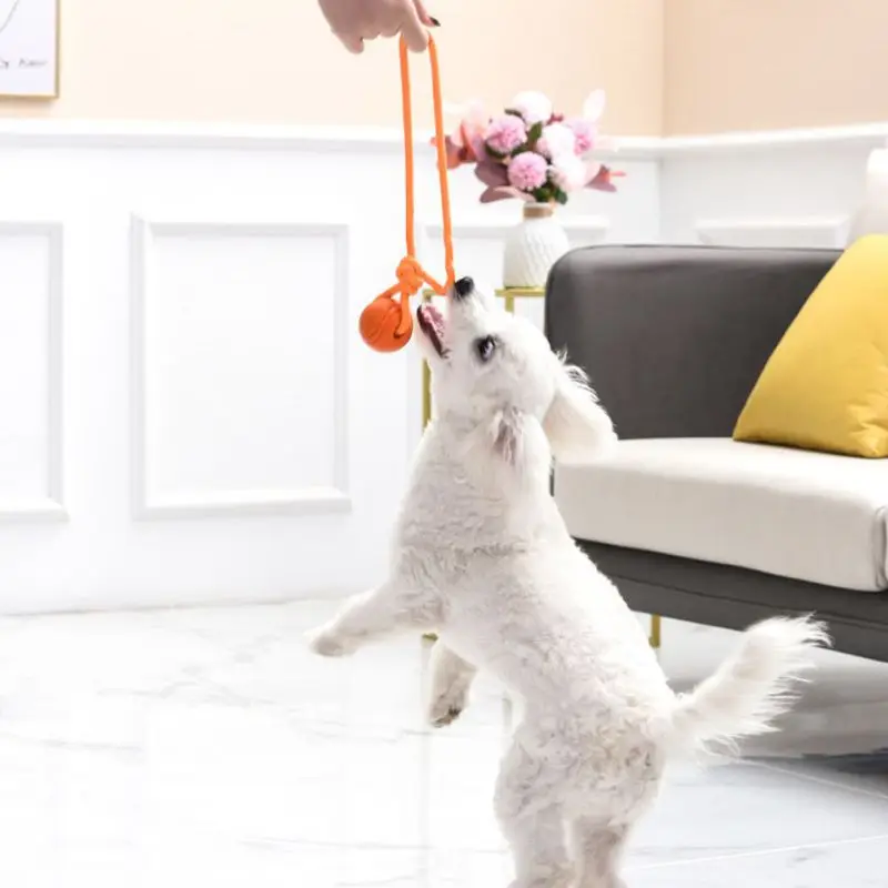 Dog Training Ball on Rope Cott - Indestructible Dog Chew Toy recension och pris