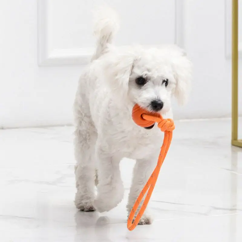 Dog Training Ball on Rope Cott - Indestructible Dog Chew Toy recension och pris