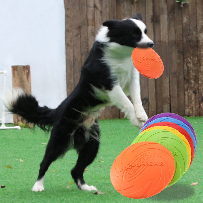 Interactive Silicone Flying Sa - Flying Disc Dog Training Toy recension och pris