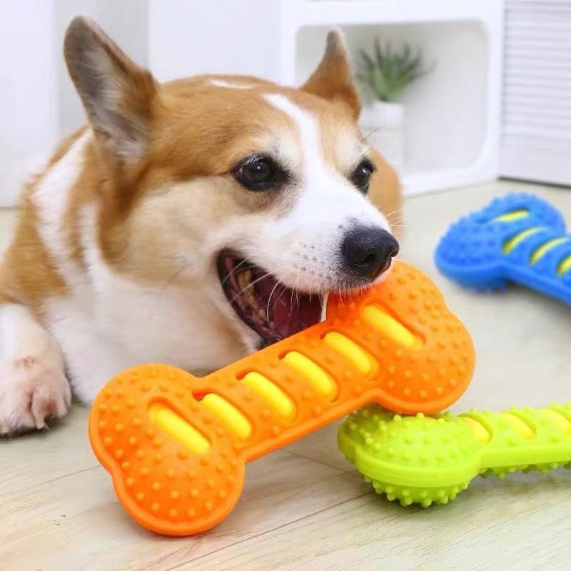 Durable Rubber Dog Chew Toy Sq - Teeth Cleaning Dog Chew Bone recension och pris