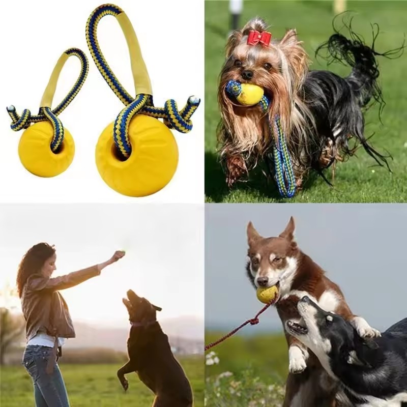 1pc Teeth Indestructible Bite  - Indestructible Dog Chew Toy recension och pris