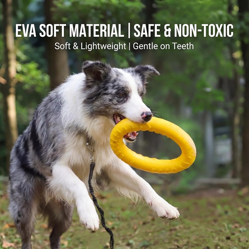 Dog Toys Pet Flying Discs EVA  - Flying Disc Dog Training Toy recension och pris