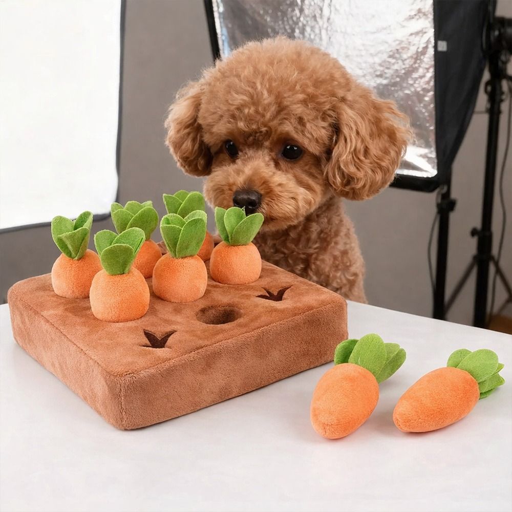 Stress Relief Carrot Snuffle M - Snuffle Mat For Dogs recension och pris