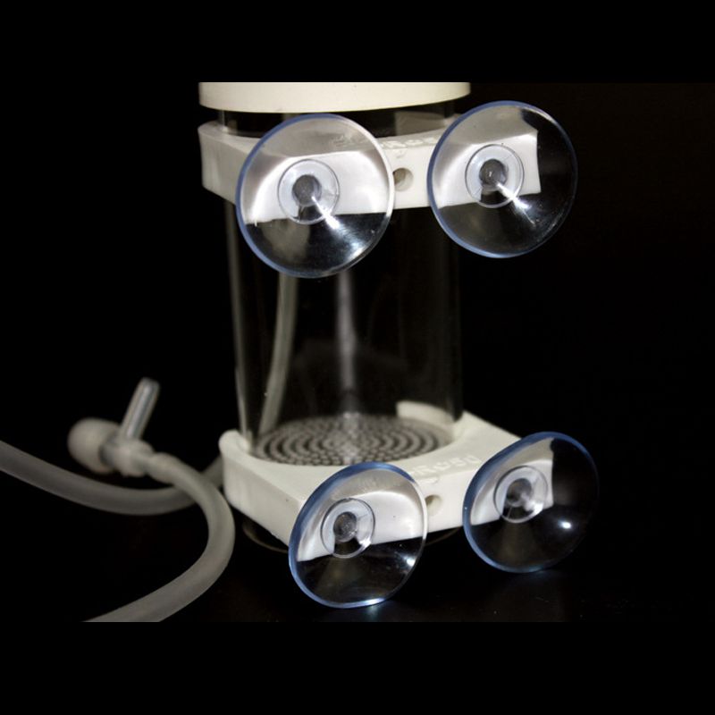 Aquarium Cichlids Tumbler Fish - Aquarium recension och pris