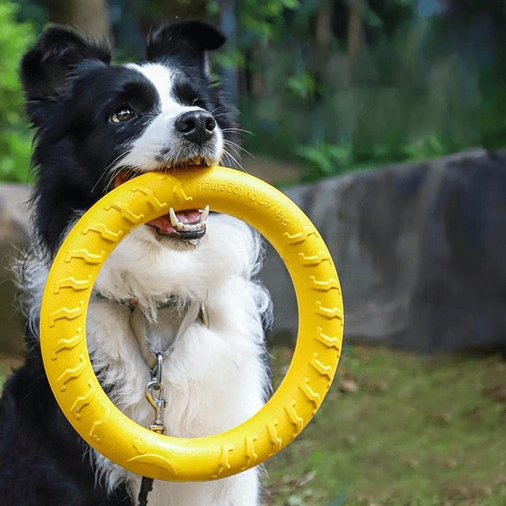 Dog Ring Toys Indestructible C - Indestructible Dog Chew Toy recension och pris