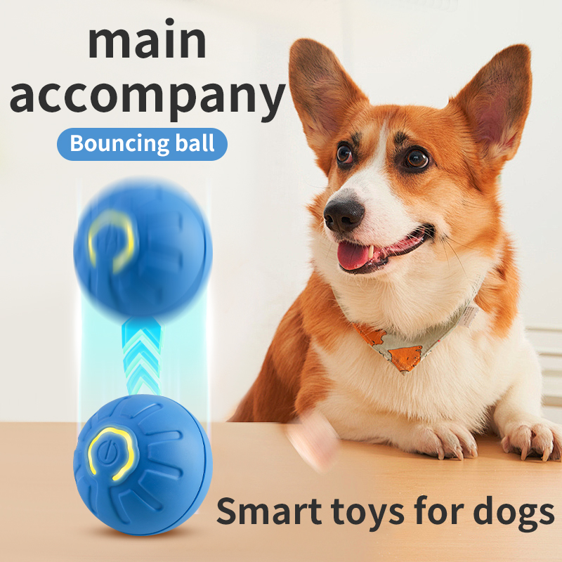 Automatic Moving Dog Toy Ball  - Automatic Moving Dog Ball recension och pris