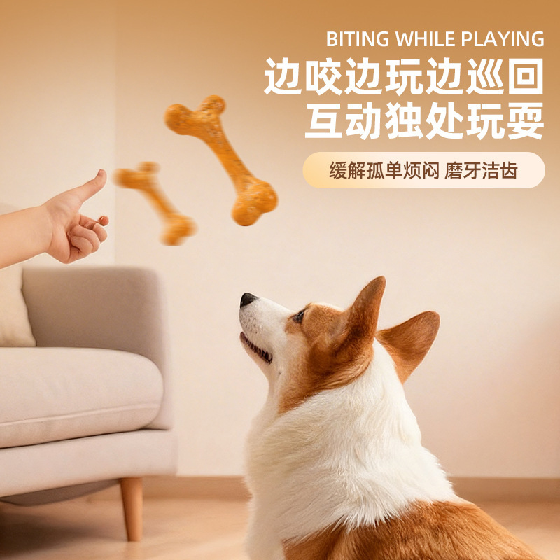 Dog ToyTPRDurable chew-resista - Teeth Cleaning Dog Chew Bone recension och pris