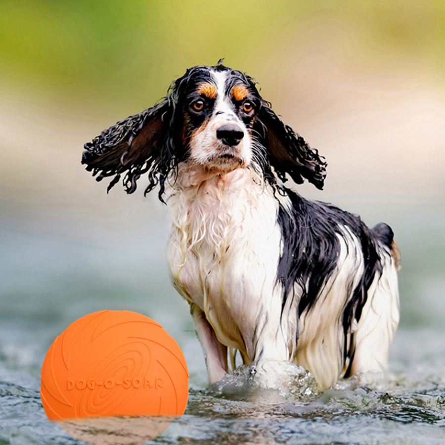 Large Dog Golden Fur Pet Flyin - Flying Disc Dog Training Toy recension och pris