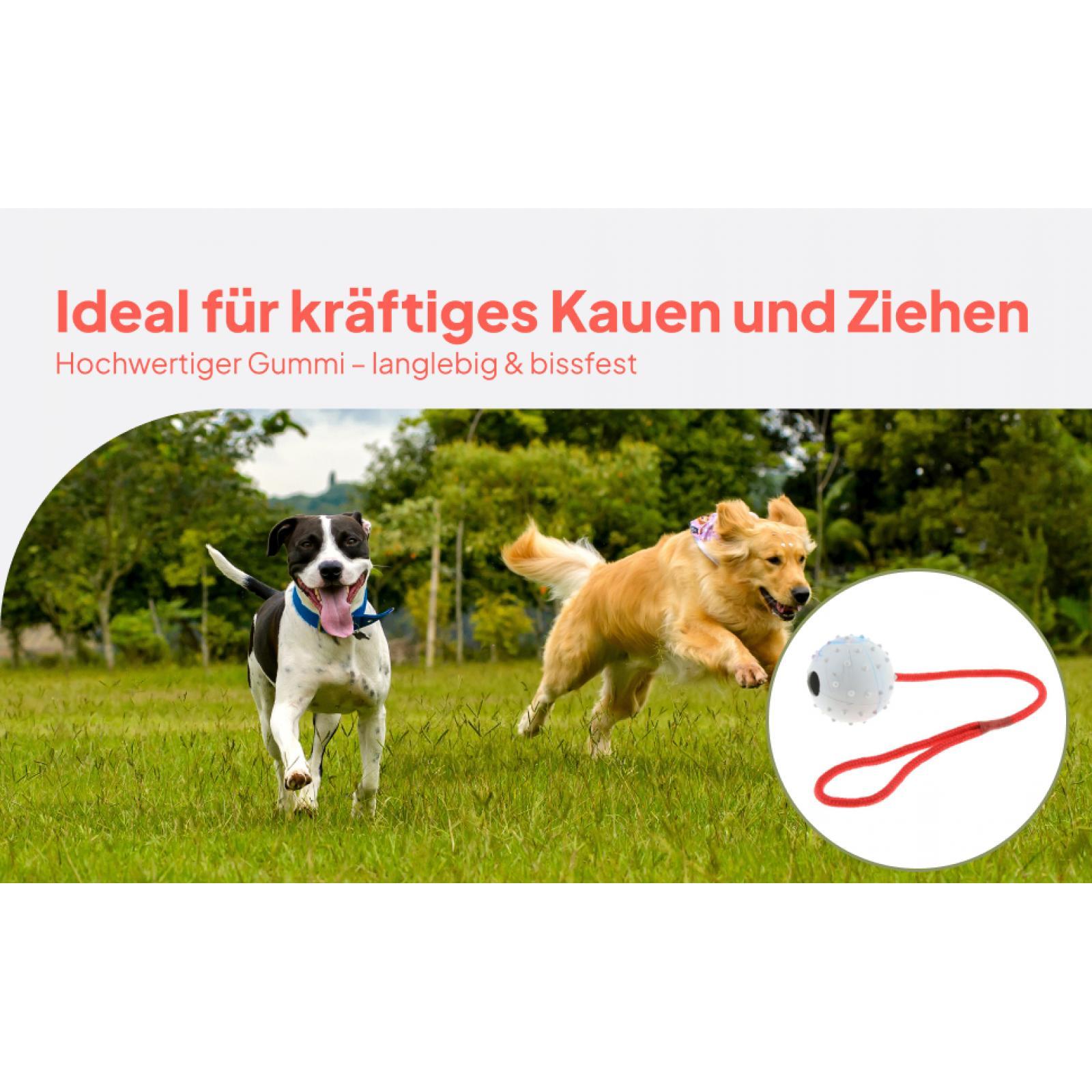 Pet Training Toy Soft Rubber C - Rubber Treat Dispensing Dog Toy recension och pris
